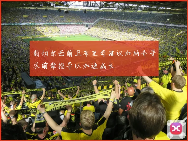 前切尔西前卫布里奇建议加纳乔寻求前辈指导以加速成长