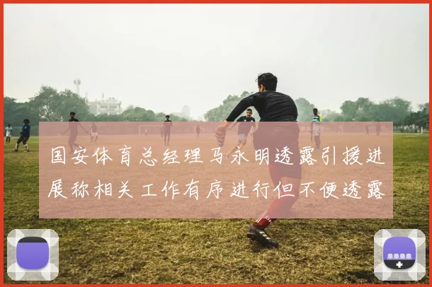 国安体育总经理马永明透露引援进展称相关工作有序进行但不便透露名字