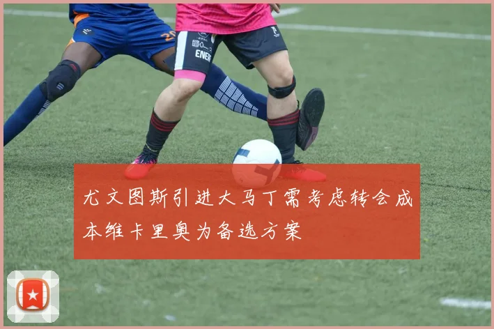 尤文图斯引进大马丁需考虑转会成本维卡里奥为备选方案